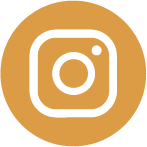 Icon Instagram - Renato Salge