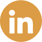 Icon Linkedin -Renato Salge