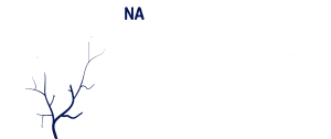 consorcio na veia - logo